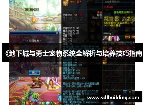 《地下城与勇士宠物系统全解析与培养技巧指南》