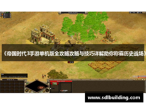 《帝国时代3手游单机版全攻略攻略与技巧详解助你称霸历史战场》